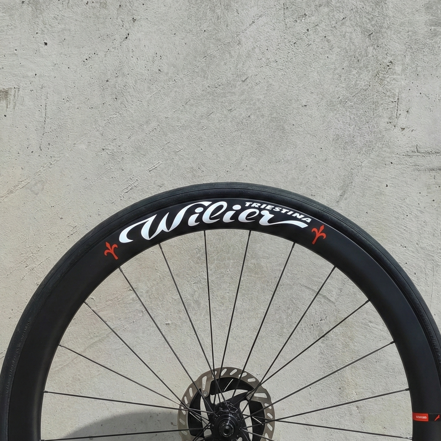 Dettaglio personalizzazione grafica e adesivi