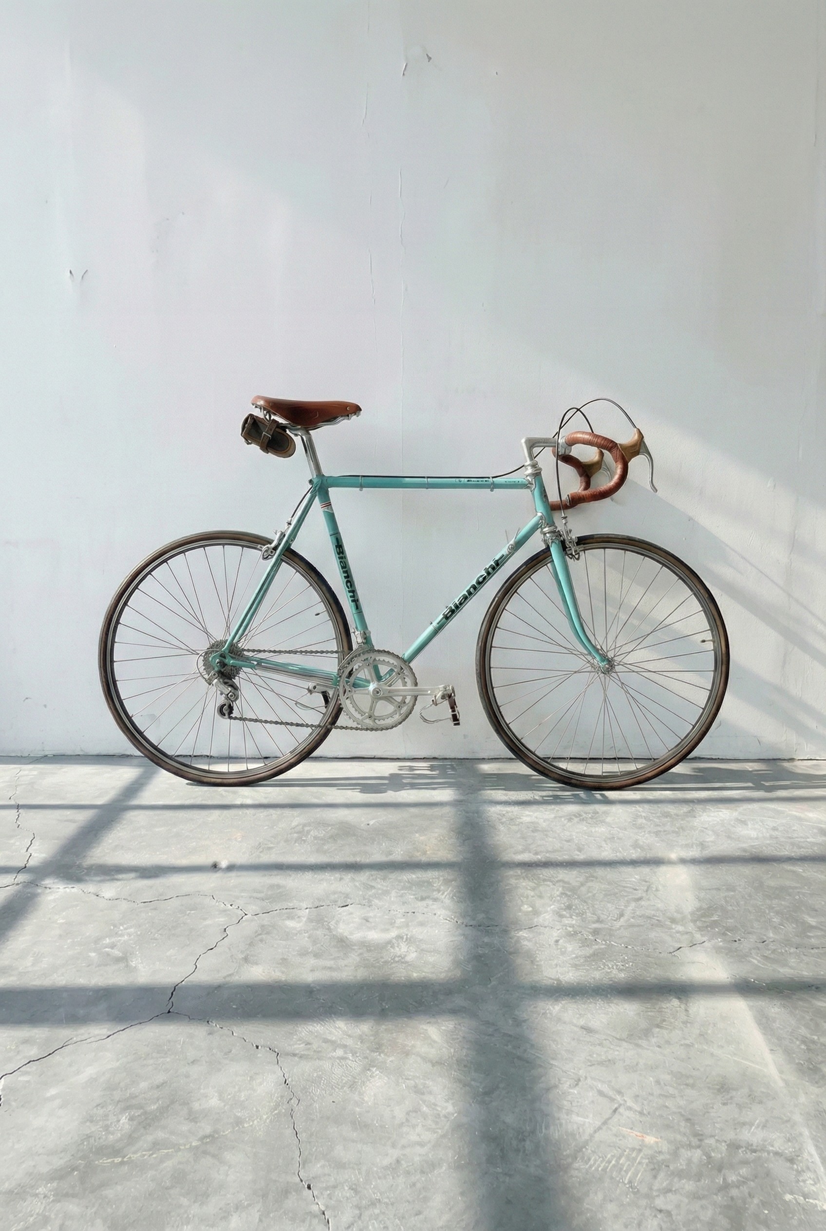 Bici Vintage Bianchi