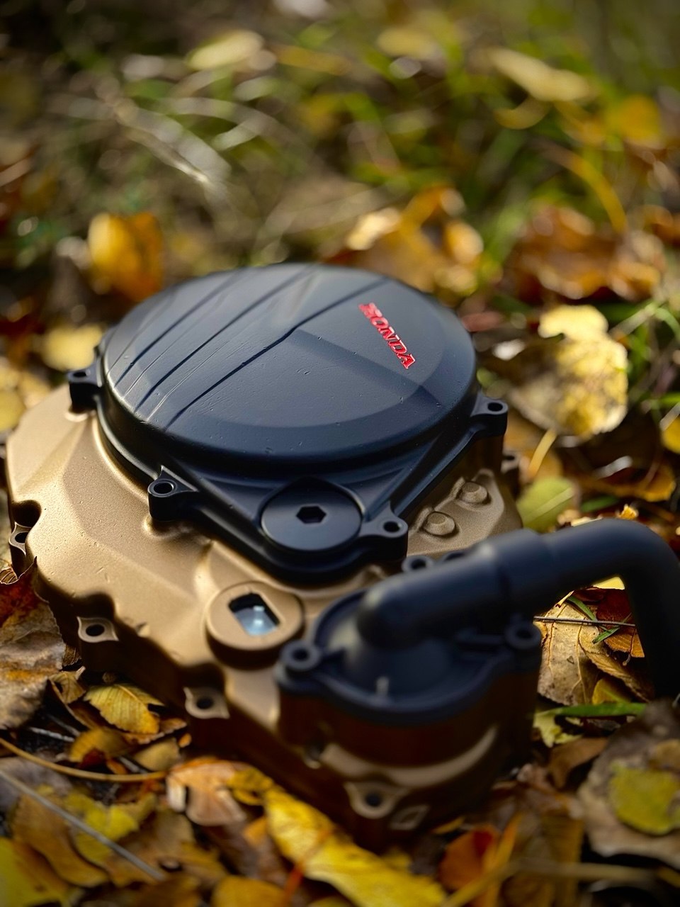 Dettaglio Carter Honda Cerakote